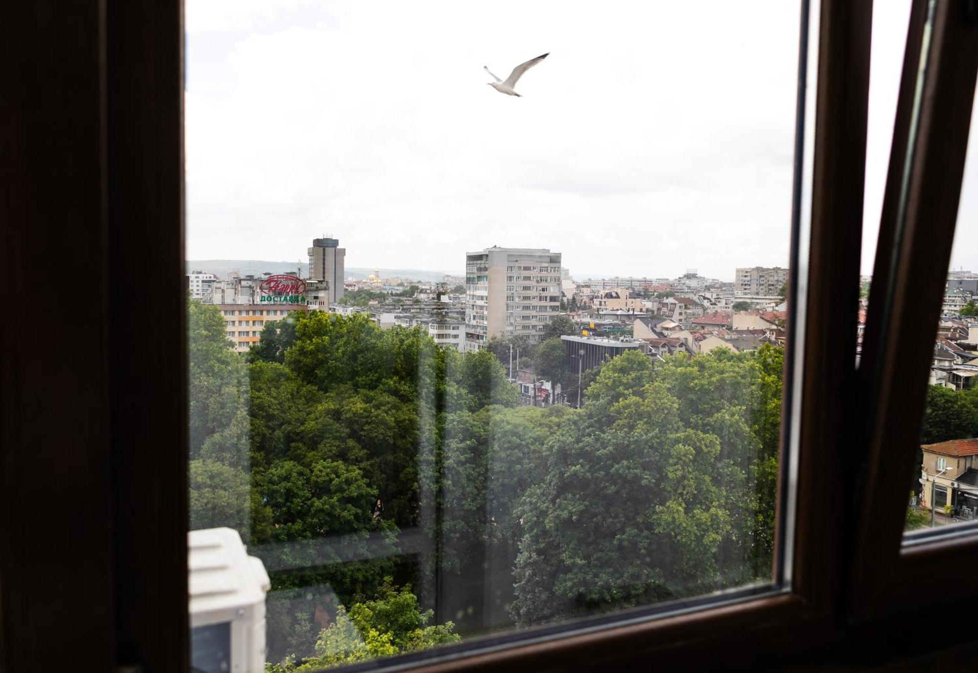The View * Varna